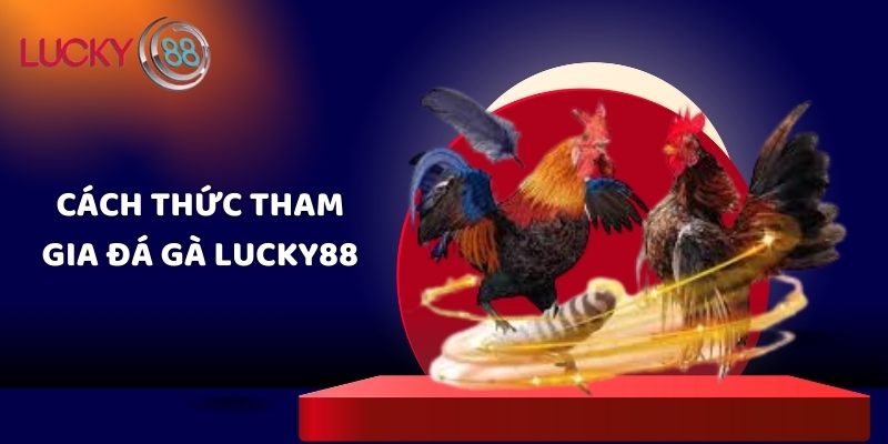 Cách thức tham gia đá gà Lucky88